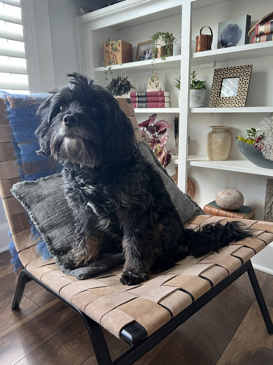 Eli McCann tweet media