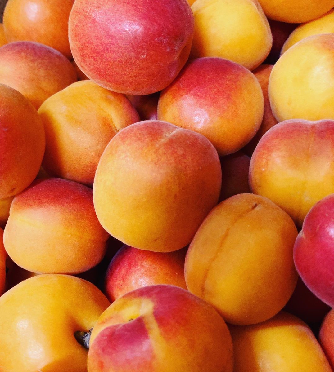 accentFresh's tweet photo. Spanish stone fruits are here; Cherries, Apricots, Peaches &amp; Nectarines

To order any of these products, please call or email the office to place your order.

01366 386633
orders@accentfresh.co.uk

Alternatively you can order online at: https://t.co/cycnWKqiie https://t.co/YLNo37Z4Kc