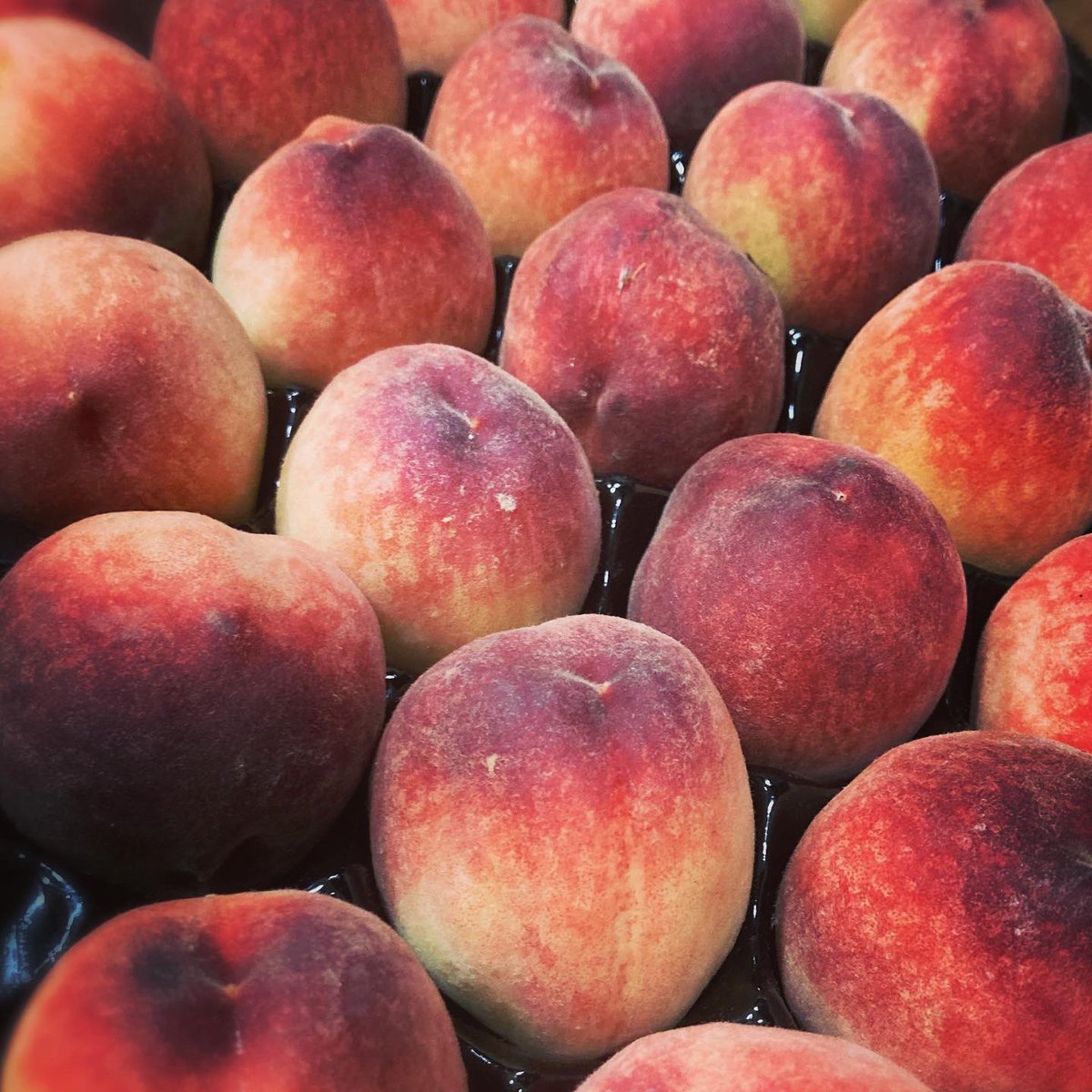 accentFresh's tweet photo. Spanish stone fruits are here; Cherries, Apricots, Peaches &amp; Nectarines

To order any of these products, please call or email the office to place your order.

01366 386633
orders@accentfresh.co.uk

Alternatively you can order online at: https://t.co/cycnWKqiie https://t.co/YLNo37Z4Kc