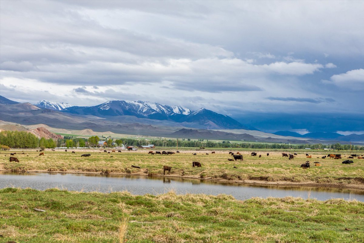 The Land Report on Twitter "Piva Rafter P Ranch Idaho 11,320,000 Located in Idaho and