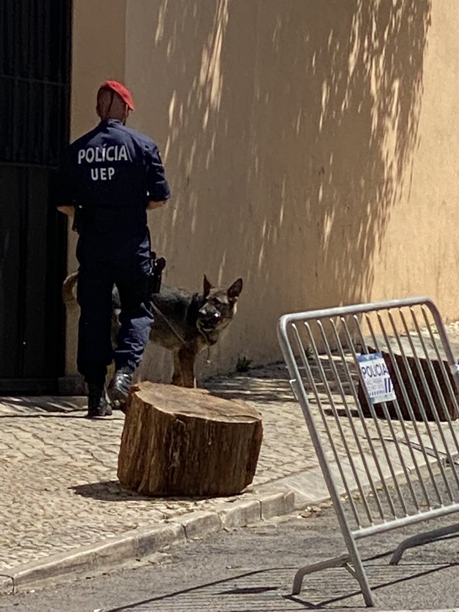 Dan Dicks tweet media