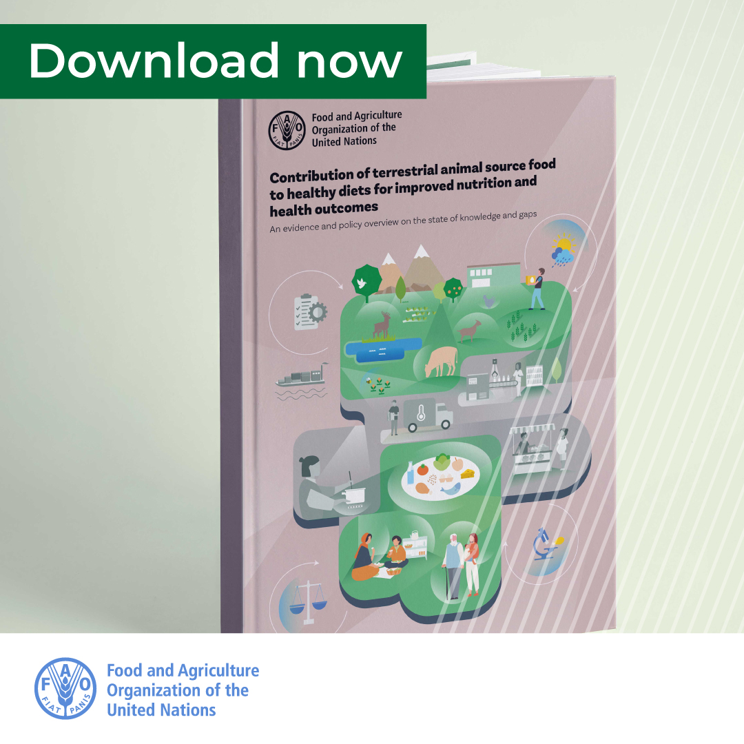 FAOLivestock's tweet photo. 🔴| New Release

🍗🥚 #AnimalSourceFoods 🥛🥩 play an important role in providing essential macro- and micronutrients contributing to meet the global nutrition targets.

Read @FAO's latest publication to learn more
👉 https://t.co/o3SLpGYkss https://t.co/Ewv2nOxegM