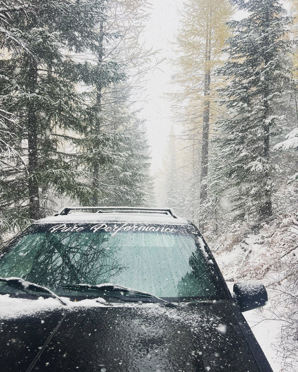 MidRdAdventure's tweet image. 