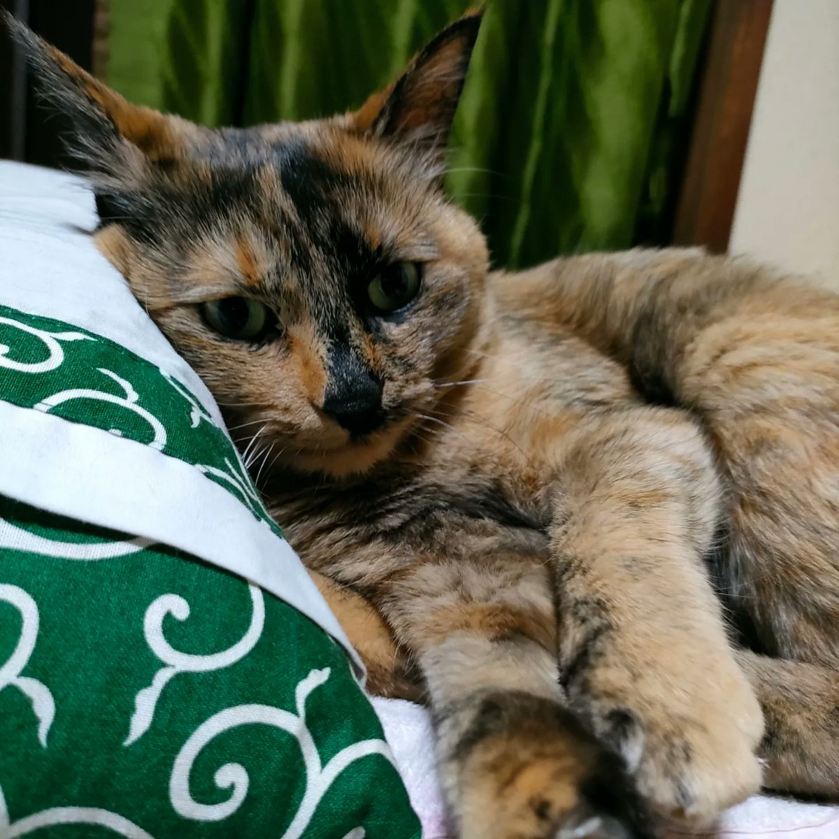 なをみ tweet media