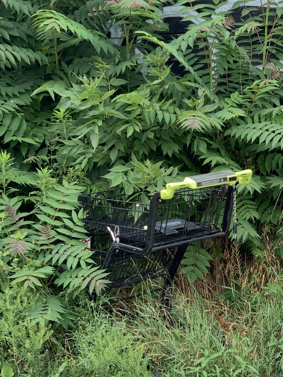 graphik_feed's tweet image. #artdirection #brandcuration #communicationdesign #contemporarytype #digitalartist #digitalmarketing #generativeart #graphicdesigns