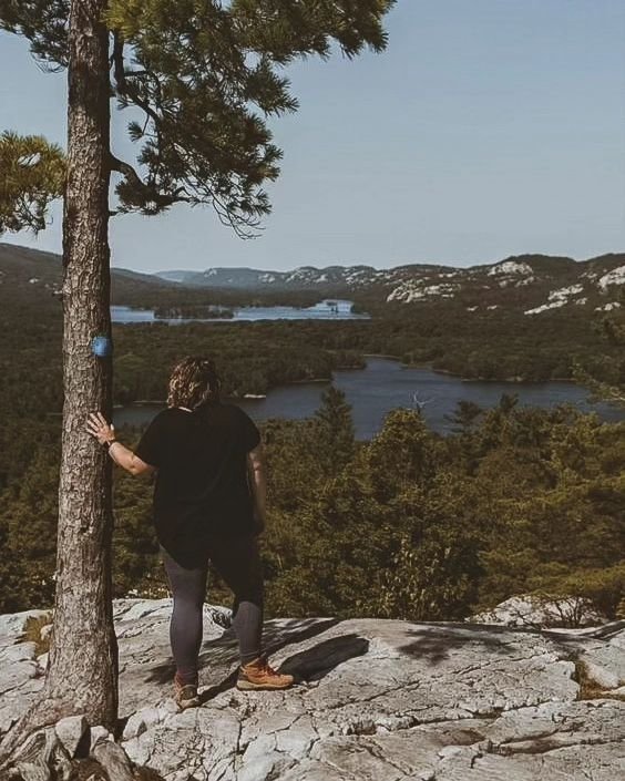 Destination Ontario tweet media