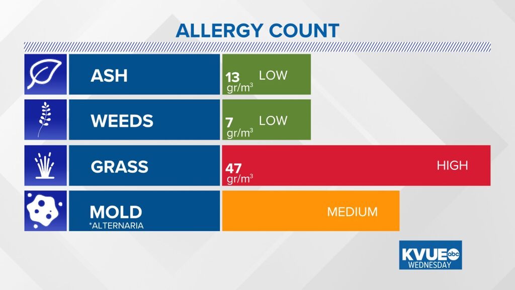 Austin Allergies tweet media