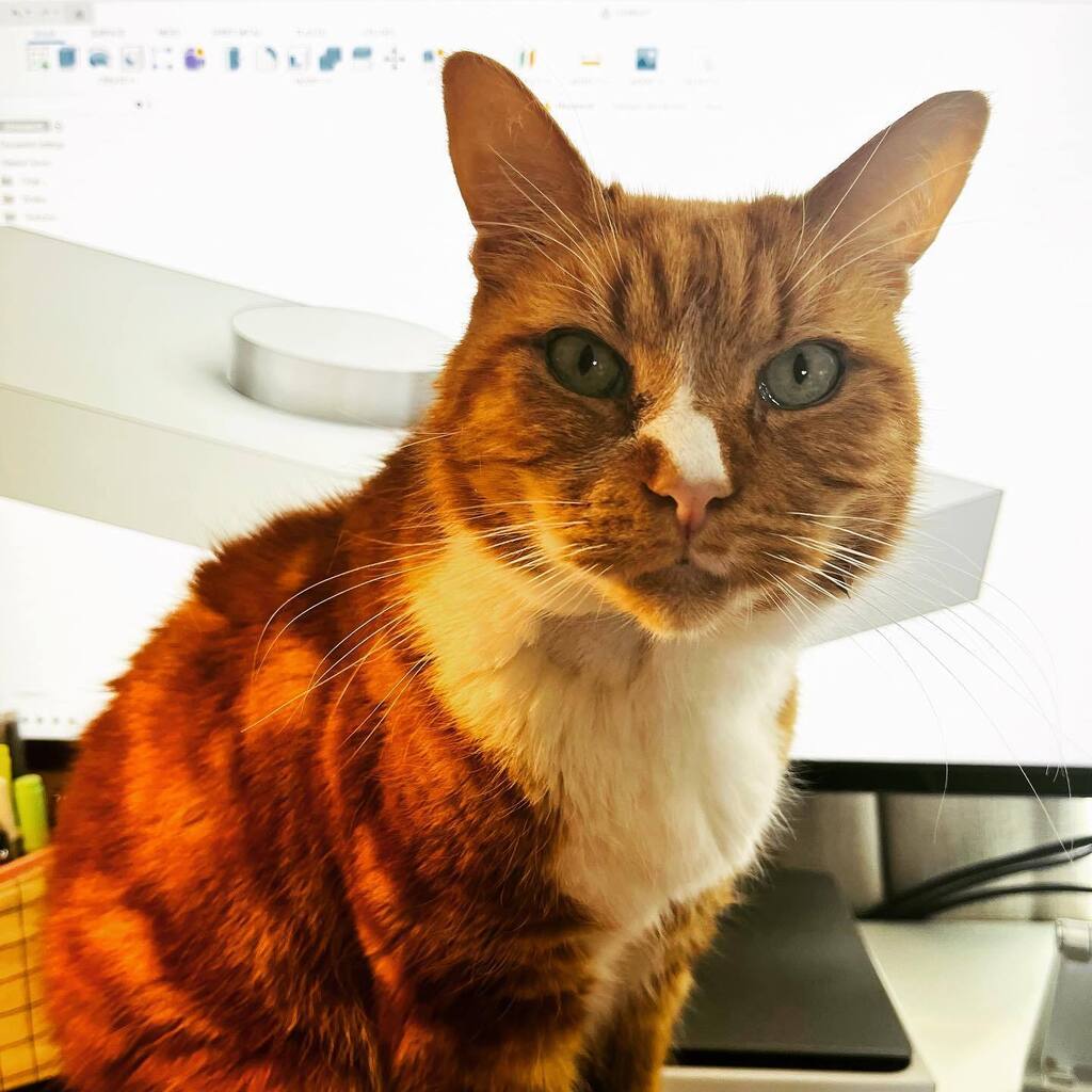 niasiandesign's tweet image. I thought about showing you all a work in progress…but Comet has other ideas 🙈😂
.
.
.
#fusion360 #cad #caddesigner #productdesignsketch #catsofinstagram #catlover #mycatwantstobeadesigner