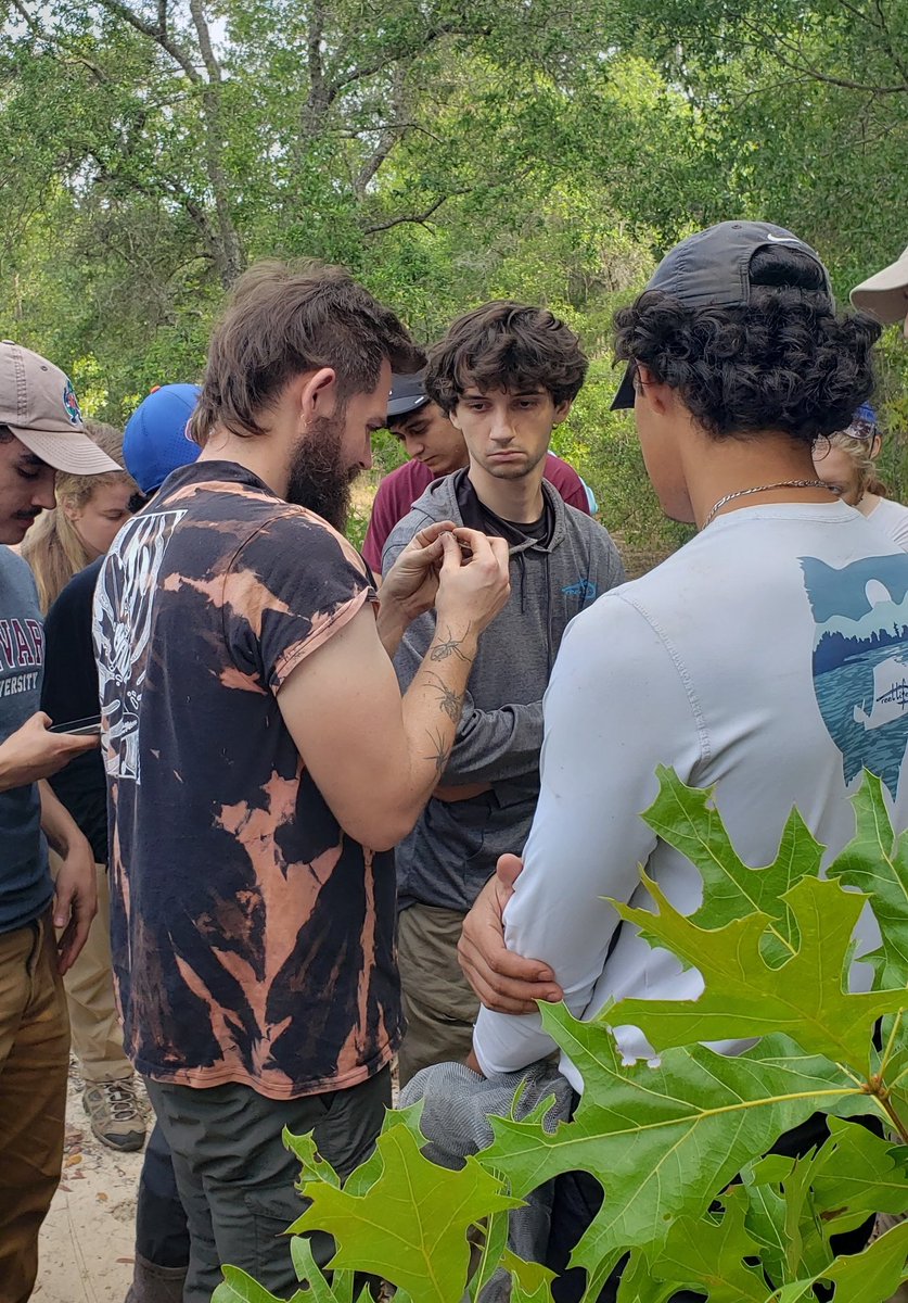 Arik Hartmann tweet media