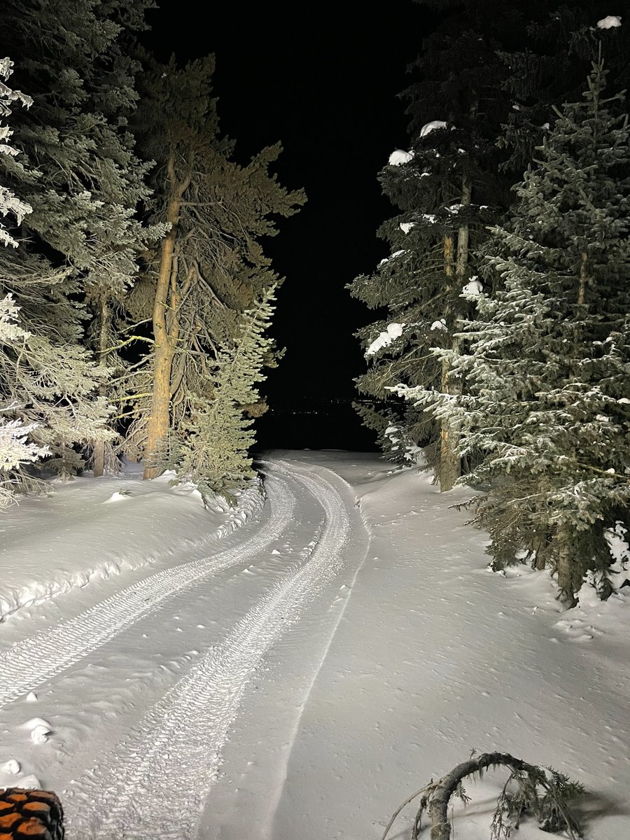 MidRdAdventure's tweet image. 