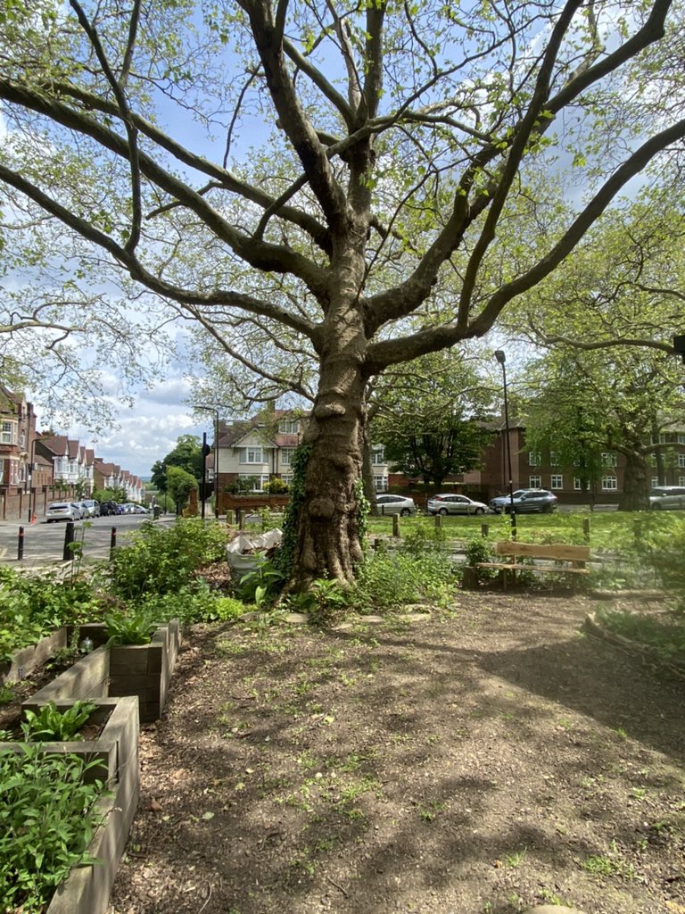 Spring is here and we’re gardening again. At Clapton Commons we’re passionate about creating green spaces for communities to gather, connect and engage. If you’re interested in getting involved please get in touch. 🌷🌼🌿