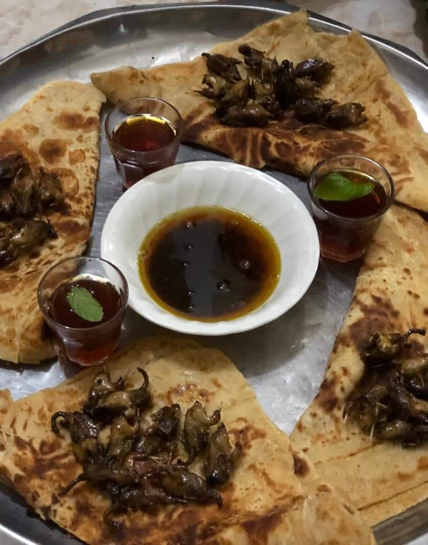 eymanAlMahri's tweet photo. لا يخلو بيت في المهرة هذه الأيام من طير (السلوى) وهو طير مهاجر ينتقل من مكان لآخر ويصل الى محافظة المهرة بإعداد كبيرة في شهري مايو ومنتصف يونيو بالتحديد في نجمي ( الغفر والزبان ) https://t.co/I7HwmbeULP