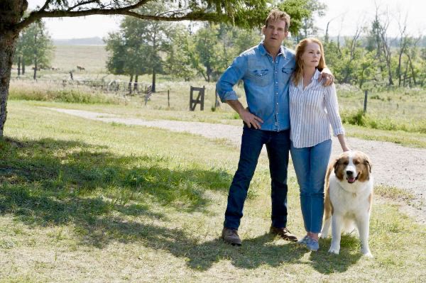 Fun fact: “A Dog’s Journey” came out in theaters 4 years ago today (5/17/2019)

#marghelgenberger #dennisquaid