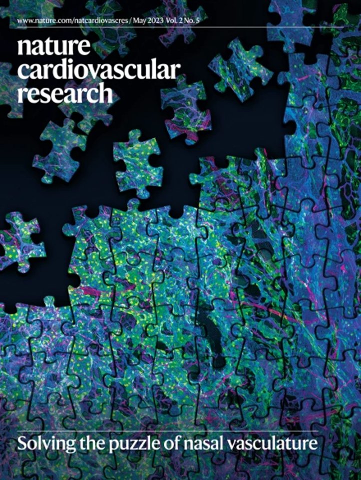 NatureCVR's tweet photo. ❤️Our May issue is out!❤️Read about the 3D morphogenic and molecular atlas of #NasalVasculature, new insights into #atherosclerosis pathogenesis and treatments, #ketones in #cardiovascular health, and more! https://t.co/5rUJf3EqsT https://t.co/T18WvtOZhF