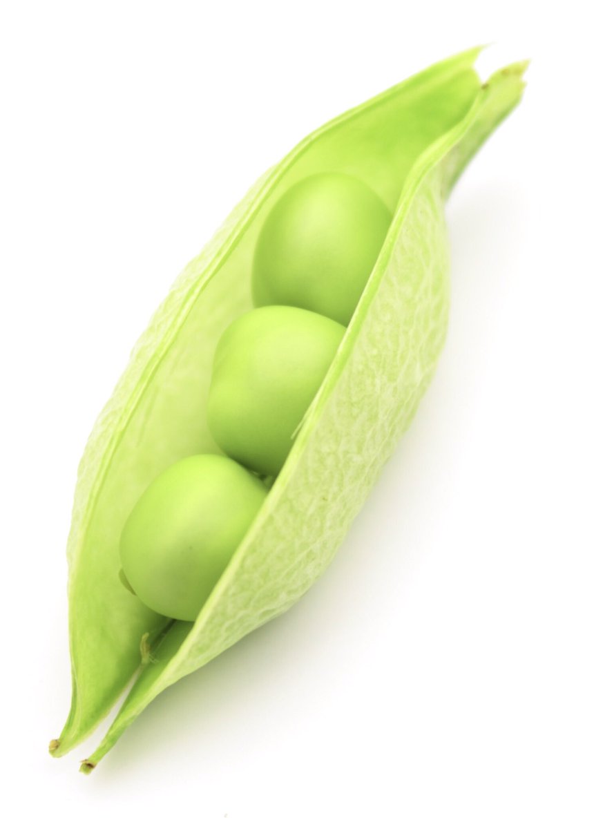 Great pre study day chat with Emma &amp; Maria from Cheshire &amp; Wirral NHS. Well up for some 3Ps, WIfI &amp; SBAR workshops on PAD &amp; CLTI for their NHS Podiatry Team. Happy cos we are coming &amp; they &amp; their TVN colleagues have been kitted out with LOADS of Doppler &amp; TBPI kits ✨👣🦵🫀#NHS