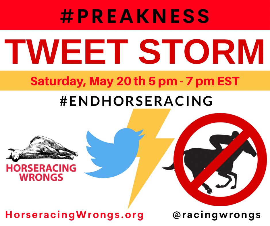 📢Take Action For The Horses!📢 #Preakness #TweetStorm This Saturday May 20th @ 5pm to 7pm ET! Be a voice for the horses! #EndHorseracing #HorseracingKillsHorses #BoycottHorseracing #Boycott #Preakness148 horseracingwrongs.org/tweet-sheet-fo… ❌🏇❌🏇❌🏇❌🏇❌🏇❌🏇❌🏇❌