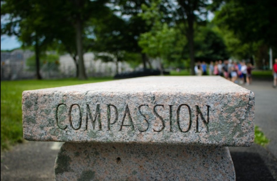 TCDSB_NCC's tweet photo. Our Daily Nurture (Elementary):
“As God’s chosen ones, holy and beloved, clothe yourselves with compassion, kindness, humility, meekness, and patience.”
Colossians 3:12

➡️ https://t.co/7zHjRXb06n 

#TCDSBwithChrist https://t.co/ZbHZGa62z0