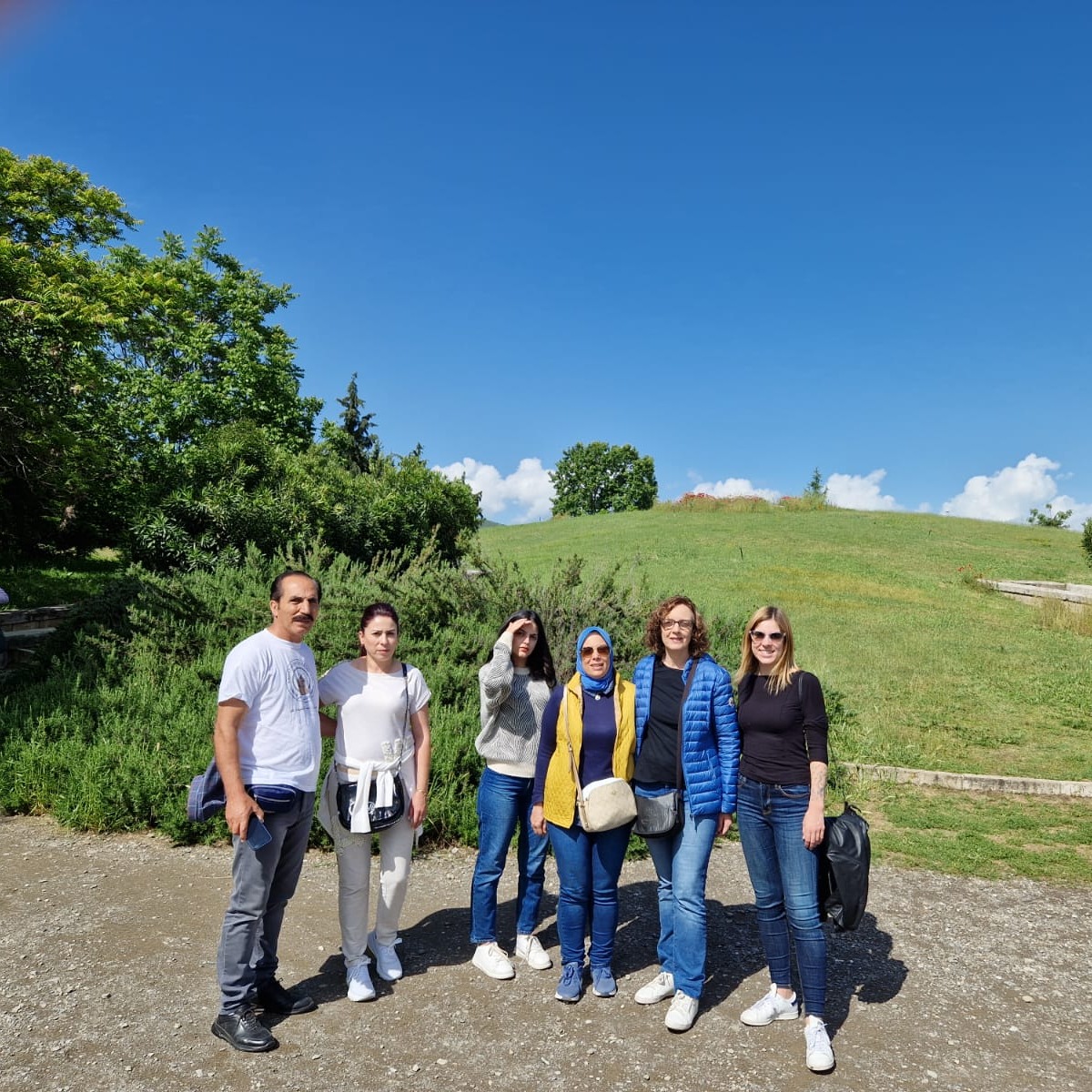 Med Pearls Project tweet media