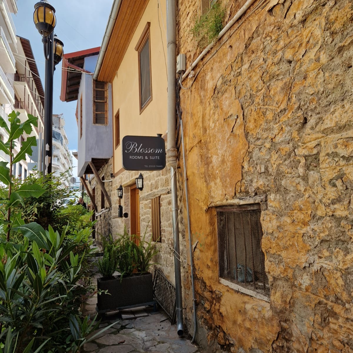 To further discover the virtues of the Macedonian region, in Greece, as a tourist destination, the Med Pearls Steering Committee members visited the pilot sites of Imathia. 🔝

It was a unique experience that allowed us to learn about the history and culture of the city.✅