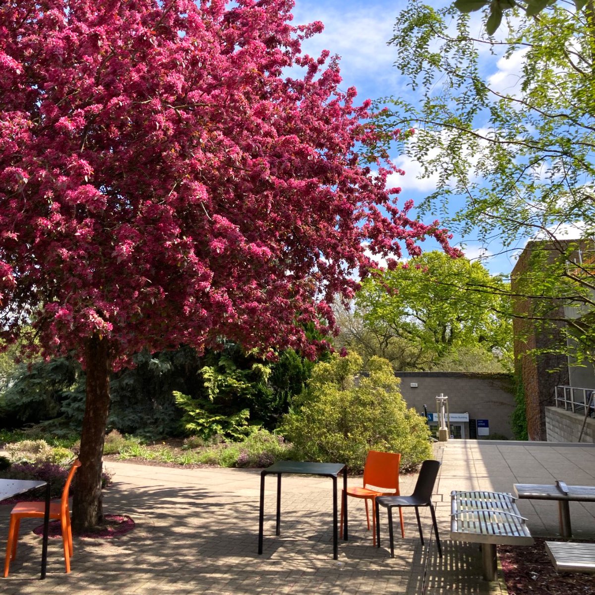 UEALibrary's tweet photo. Studying is important. But so is your wellbeing. 

Please remember during this stressful time that you are more than your exam or assessment results. If you are feeling overwhelmed or stressed, take some time to reset and have a break. 

#UEALibrary #LibraryLove #UEA #StudentLife https://t.co/4bOxz6USBj