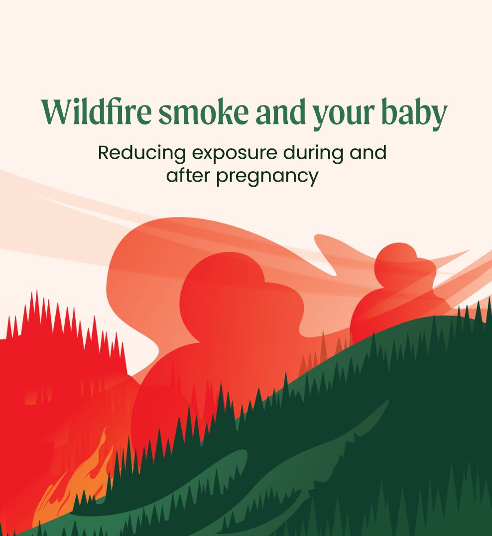OSU_EHSC's tweet image. May is #CleanAirMonth and wildfire season has arrived. We created a resource for pregnant individuals with our project partner Klamath County Public Health.  
English: beav.es/iXm
Español: beav.es/ie5

#wildfires #pregnancy #oregonstate