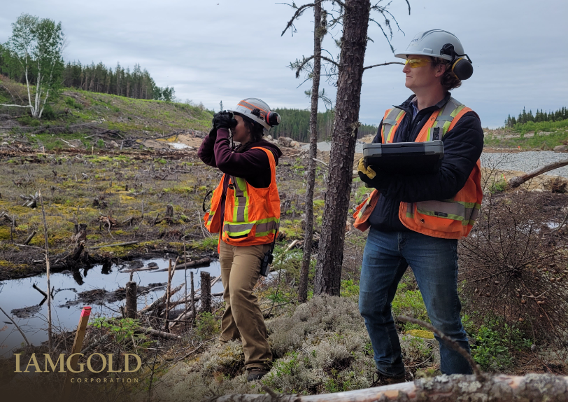 IAMGOLD_Corp's tweet photo. Bird monitoring is a fundamental part of the responsible #environmental management of mining projects. At Côté Gold and Westwood, we monitor migratory and breeding birds, perform surveys and establish buffer zones to protect birds in construction areas: https://t.co/MavuaosPji https://t.co/9Th9BigqFR