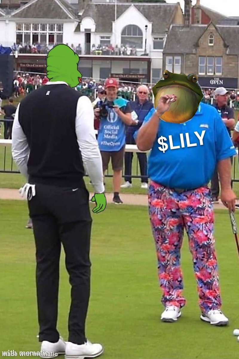 SantoshiSamurai's tweet photo. @3orovik $LILY your still early, meme/name 
0 tax and liquidity burned, perfect launch and ready to explode https://t.co/KDxVKSjjNa