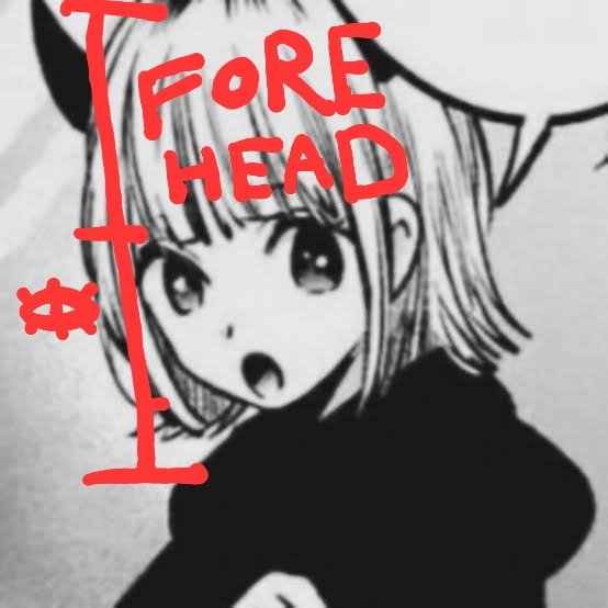 MuteEvil's tweet photo. Other rankings coming soon. Thank you for your patience.

I'll leave with some cursed knowledge. Faces with constantly expand upwards on vertical art. The more focused, the higher the forehead.

I have not been able to not-notice in it since I took note. https://t.co/gvEgcti1gH