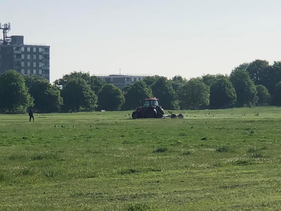 So much praise in Plumstead for the beauty of its commons. Honestly thought it was due to No Mow May. Then this has happened.  Why <a href="/Royal_Greenwich/">Royal Borough of Greenwich</a>?