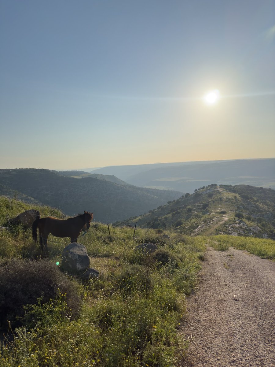 karamayman225's tweet photo. اربد عقربا الحدود السورية https://t.co/V3QVlFFRyO