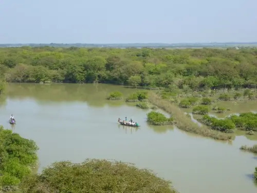 ATtravelblogs's tweet image. Although I was born and brought up in England, my parents were originally from Bangladesh and moved to the UK in the 1970s. #bangladesh #Explore #Nativecountry #Travel

allthetravelblogs.com/visiting-my-et…