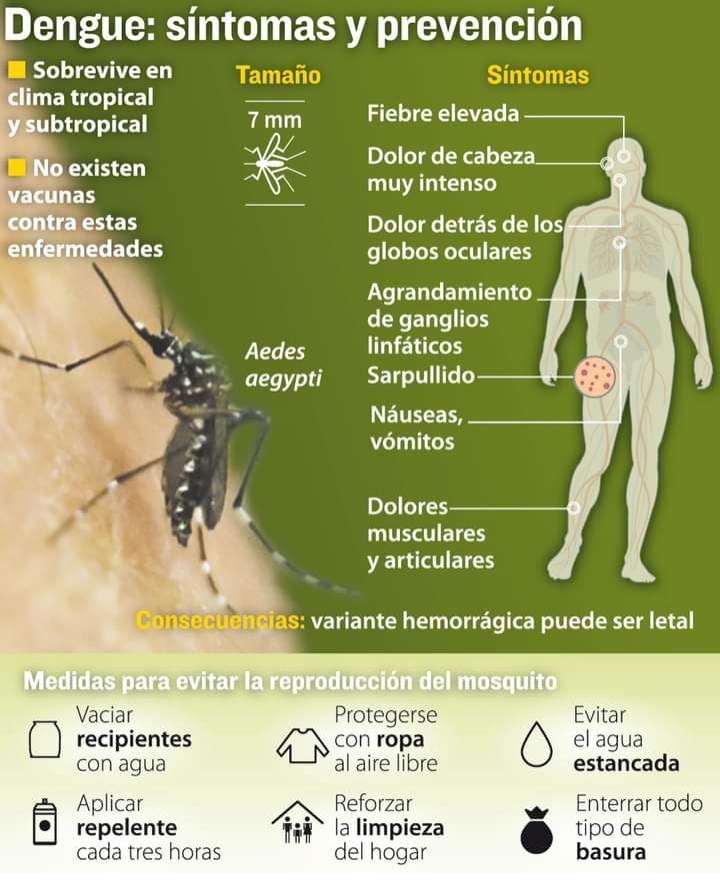 #17May || Es una enfermedad producida por un virus de la familia de los flavivirus. El hombre es el hospedador y un mosquito del género Aedes es el vector que con su picadura produce la transmisión. Los síntomas son muy similares a los de la gripe.
<a href="/DigesaludFANB/">DIGESALUDFANB</a>