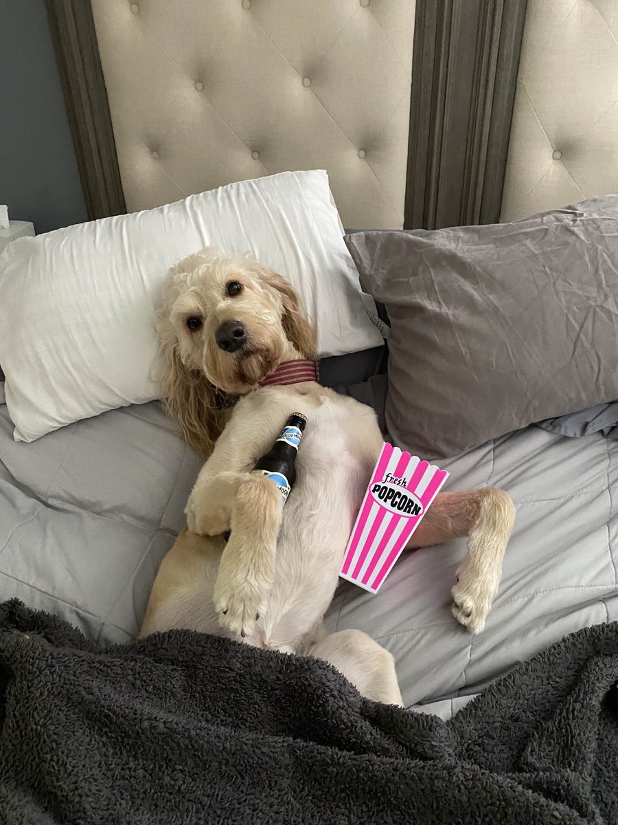 Bonus Pet Week Post!

We aren't finished yet! Our next feature is our CRO, Dan, and his dog Gunner!

Besides Blue Moon and popcorn, Gunner likes to hang out with the family and take naps. To us, he's living the dream.

Stay tuned for more pet posts!

#NationalPetWeek