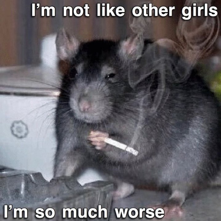 Elena sem H tweet media