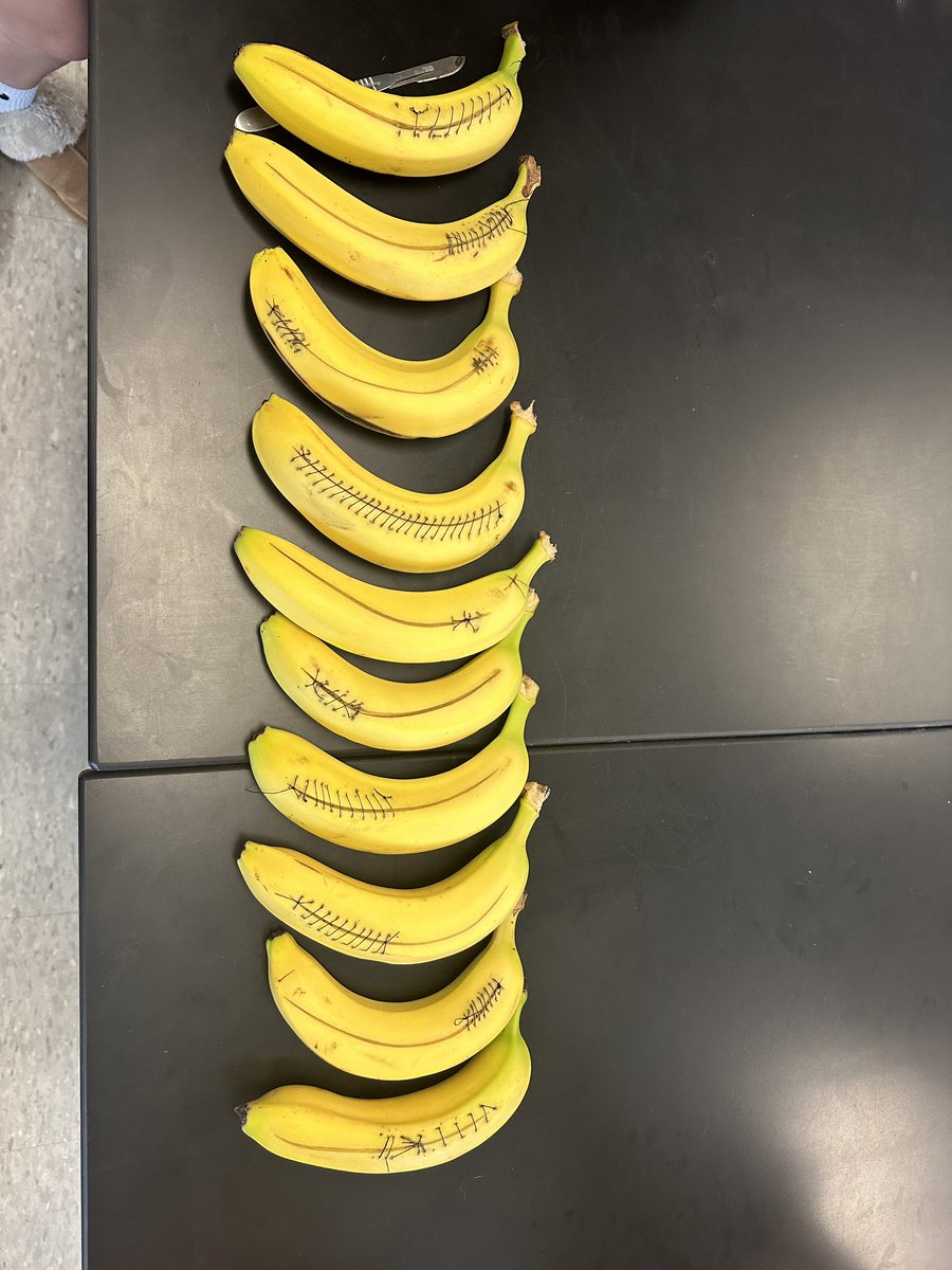 4th hour MI Suturing Contest, Lucy Ballard won!!