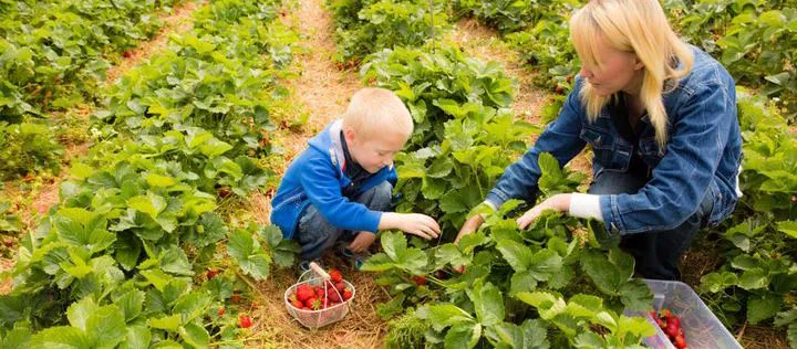 waswiressen's tweet photo. Was wir essen, wirkt sich auf unsere #Gesundheit und auch auf die #Biodiversität unseres Planeten aus. Das Projekt #GreenSpoons soll #Kinder und #Jugendliche gemeinsam mit ihren #Familien für dieses Thema sensibilisieren ➡️ https://t.co/dk5WerBO6U https://t.co/bDf9175ft8