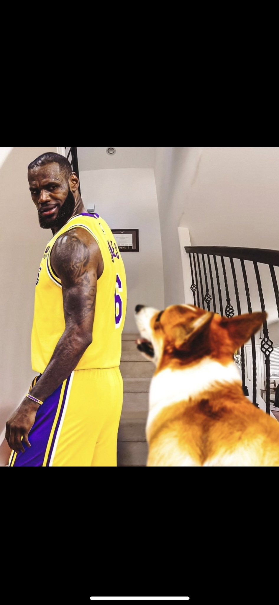 Ayo2x on Twitter "statmuse Lebron James in the 4th Quarter 1/4FG Bricked 3 🔥 🔥 “MoSt