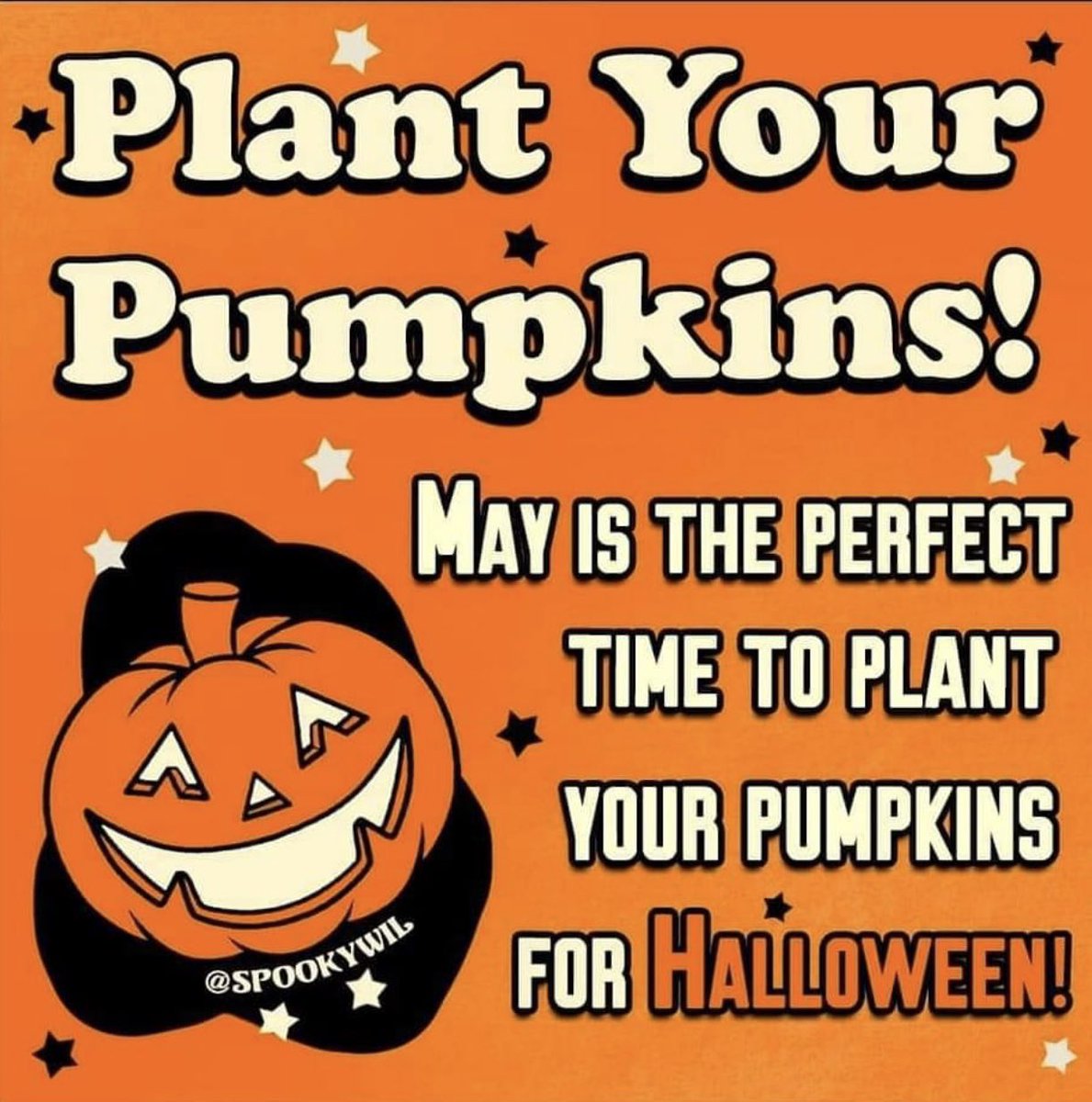 FYI it’s time to start getting ready #Halloween #Halloween2023