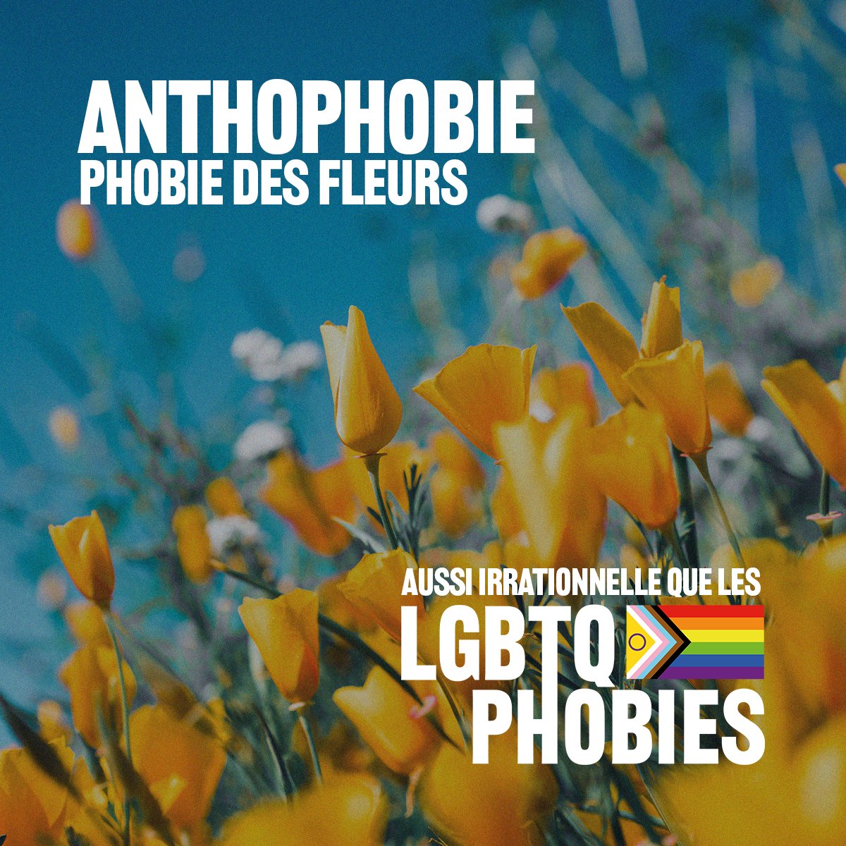 Fondation Émergence (@fondemergence) on Twitter photo Hey <a href="/EspacePourLaVie/">Espace pour la vie</a>
Vous en pensez quoi ? #jardinbotanique #Montréal
lgbtqphobies.ca
#IDAHOT #IDAHOBIT #IDAHOT2023 #JICHTB Hey <a href="/EspacePourLaVie/">Espace pour la vie</a>
Vous en pensez quoi ? #jardinbotanique #Montréal
lgbtqphobies.ca
#IDAHOT #IDAHOBIT #IDAHOT2023 #JICHTB