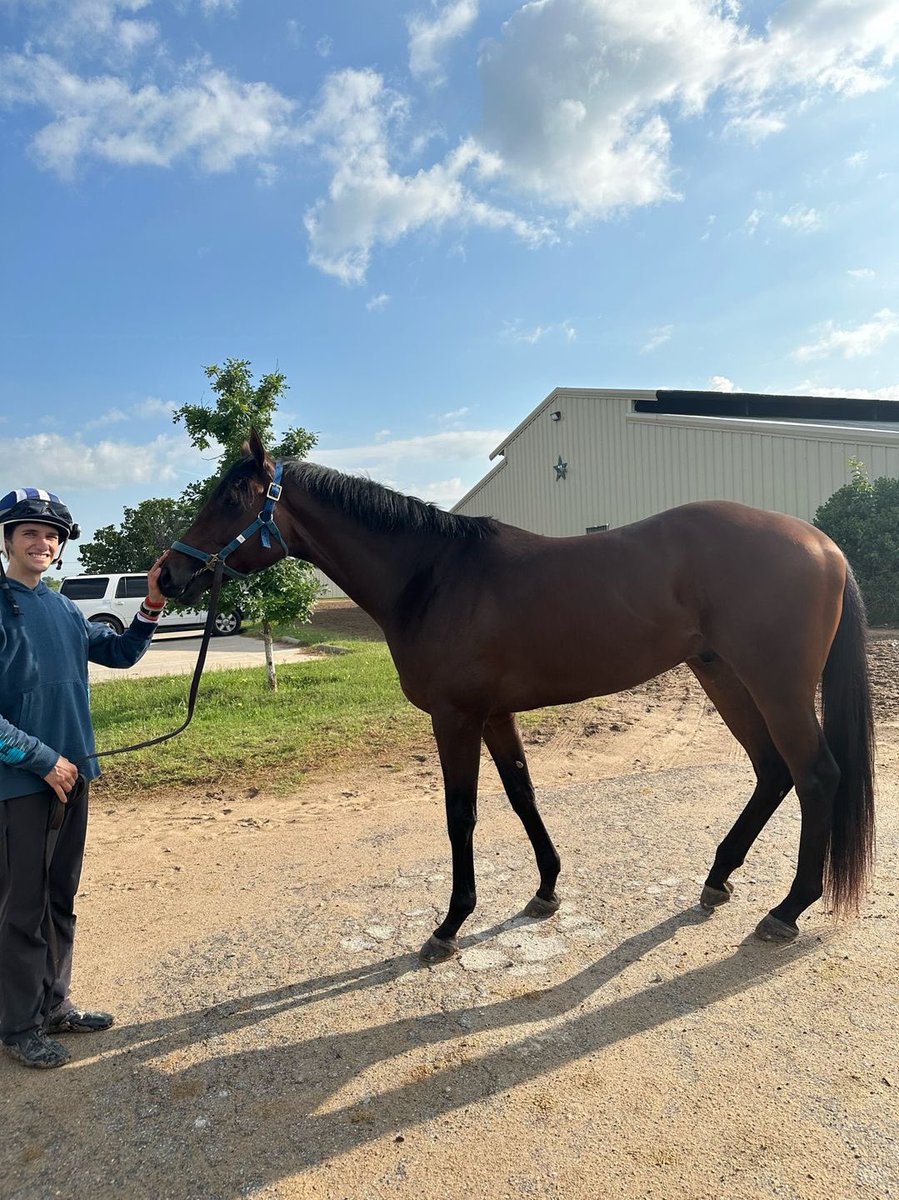 SarahHorsegirl's tweet photo. Phantom Ride is doing well at Lonestar in Texas #CandyRidecolt #MyRacehorse https://t.co/3NUoy30jDX