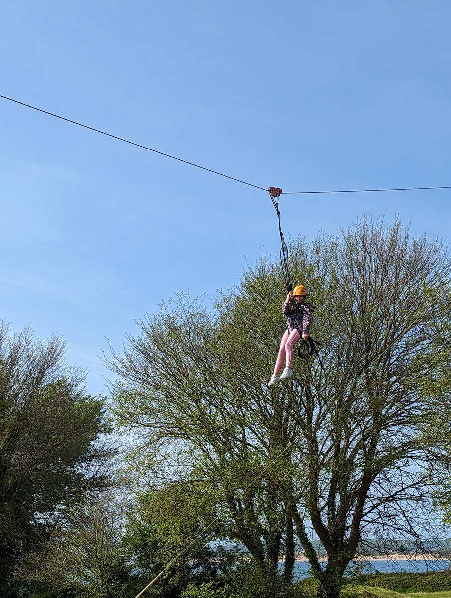 Highfield Year 4 tweet media