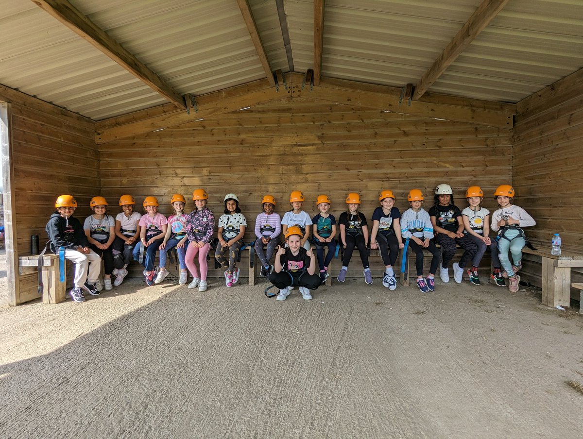 Highfield Year 4 tweet media