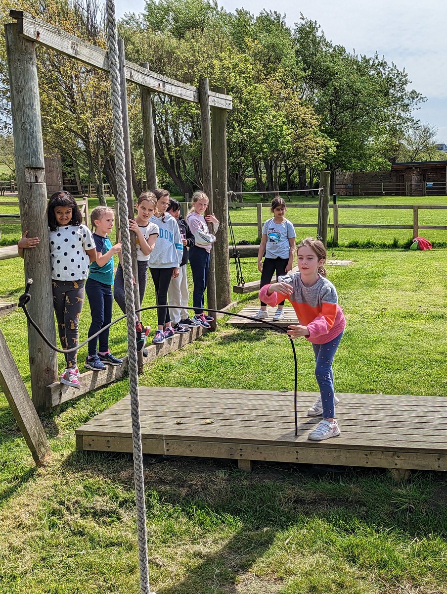 Highfield Year 4 tweet media