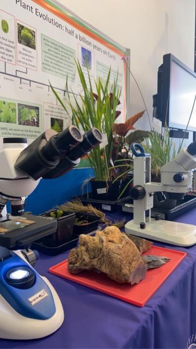 Here in IMPS we have a passion for plants and love sharing our enthusiasm with the public. Read all about our recent visit to @NtlMuseumsScot as part of the @EdSciFest in our recent blog ed.ac.uk/biology/plant-… @PlantDay18May #PlantDay #FoPD @teareinert @EnvironChangeEd @Luehea