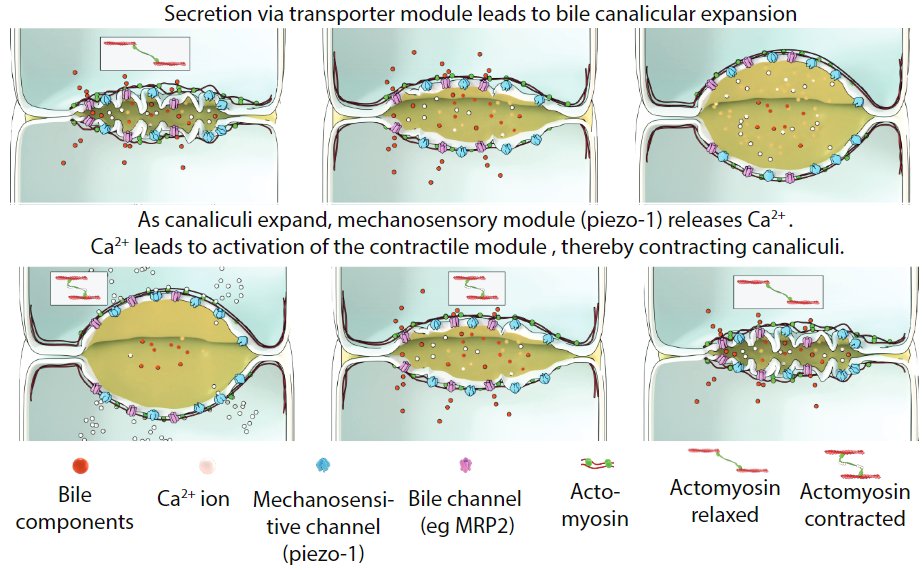 APS Publications tweet media