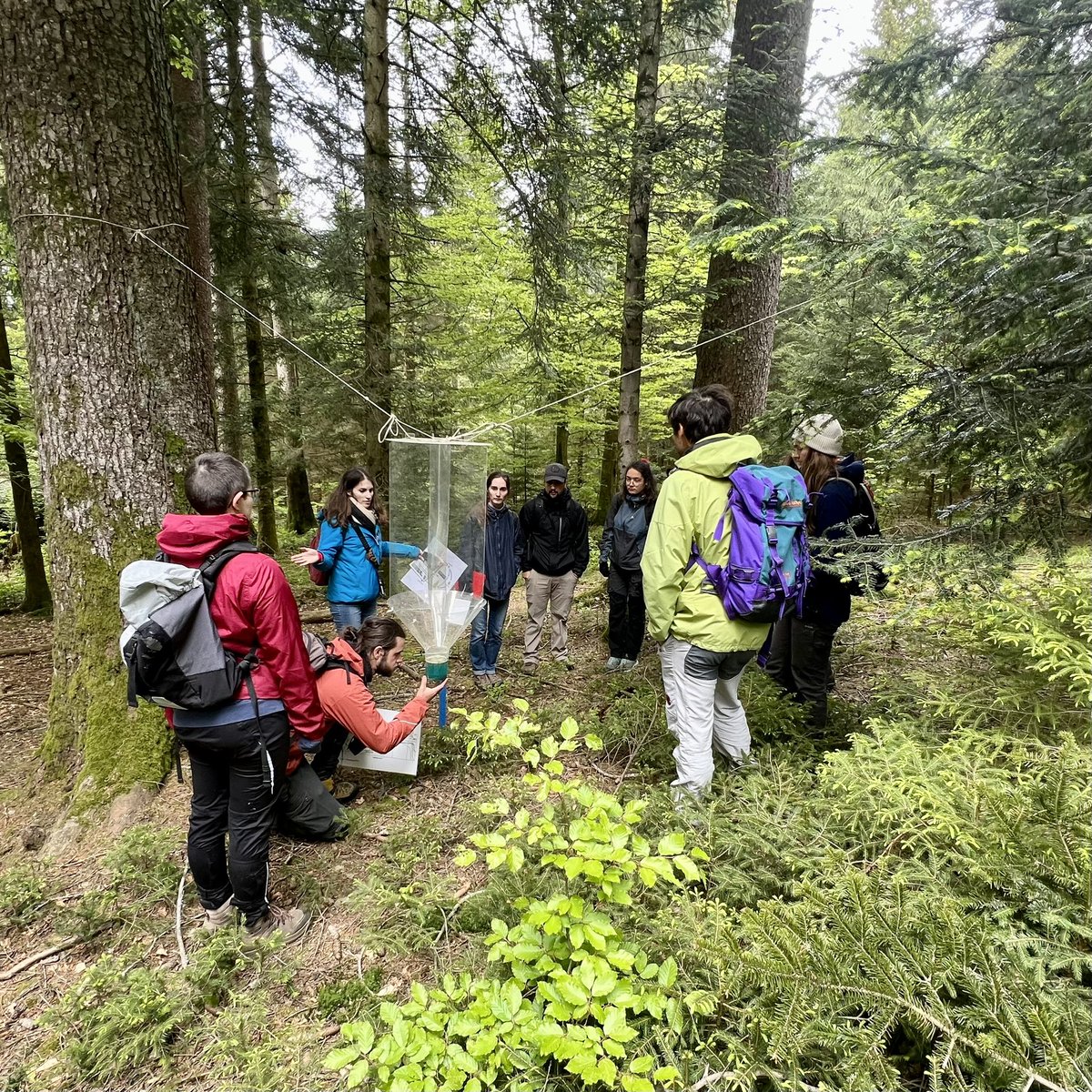 jeromepellet's tweet photo. Another expedition deep into the Parc @DuJorat to study forest ecology and free-willed woodlands with applied ecology students @ecolebiolunil https://t.co/XJJ7UYkGRe
