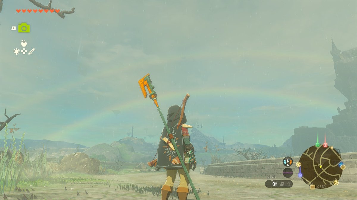 What does it mean? #TearsOfTheKingdom #Zelda #NintendoSwitch