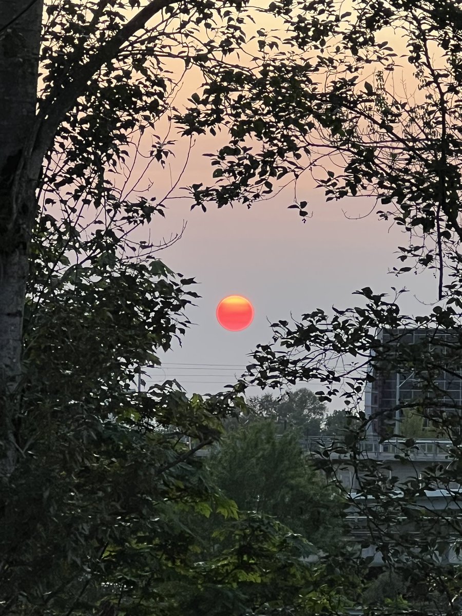 Andy Bokanev tweet media