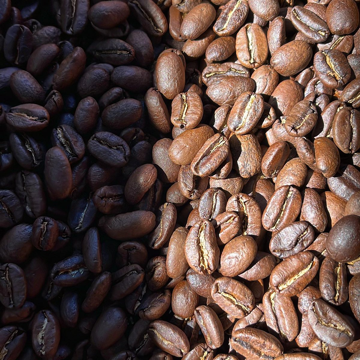 Runyon Coffee tweet media