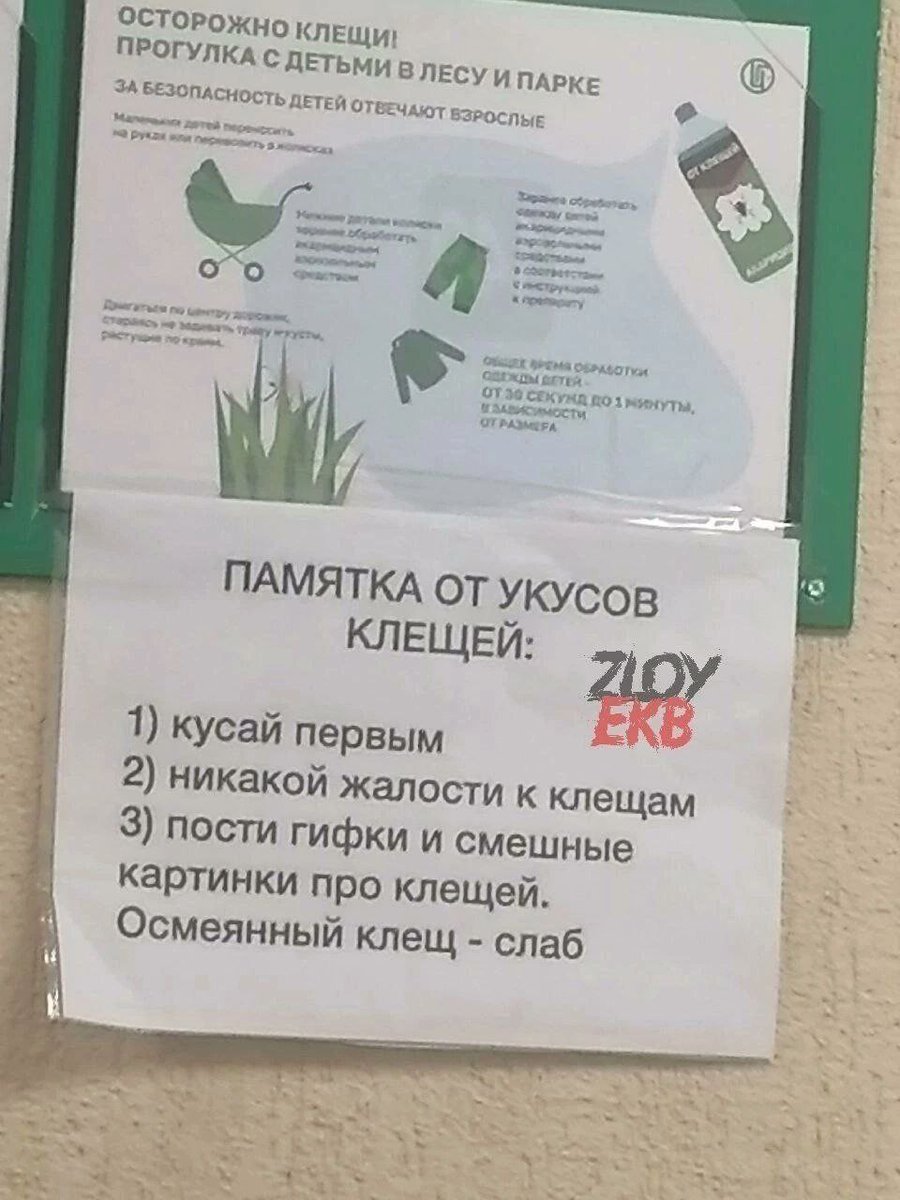 Кринжевальд (@cripsleepwalker) on Twitter photo 